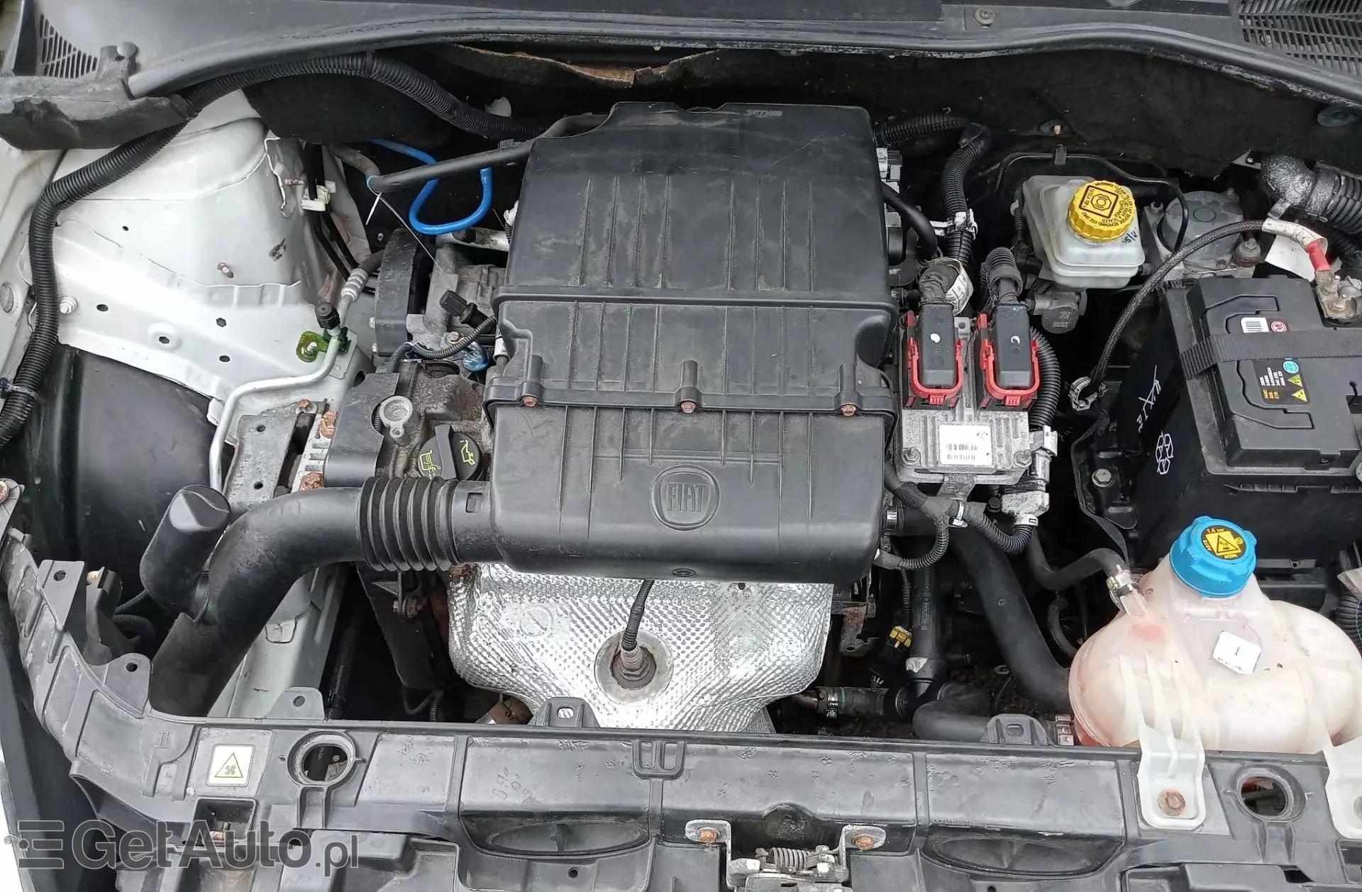 FIAT Punto 1.4 (77 KM)