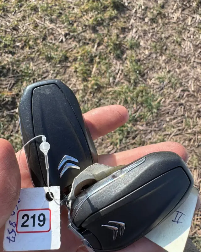 CITROËN C4 Picasso BlueHDi 120 FEEL