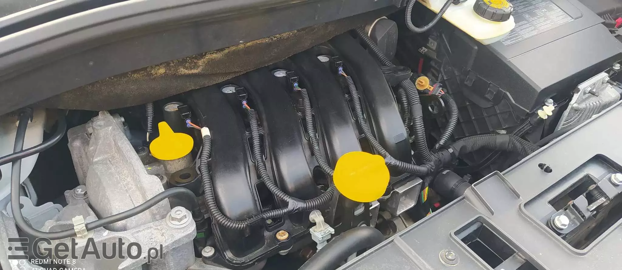 RENAULT Scenic 1.6 16V Life