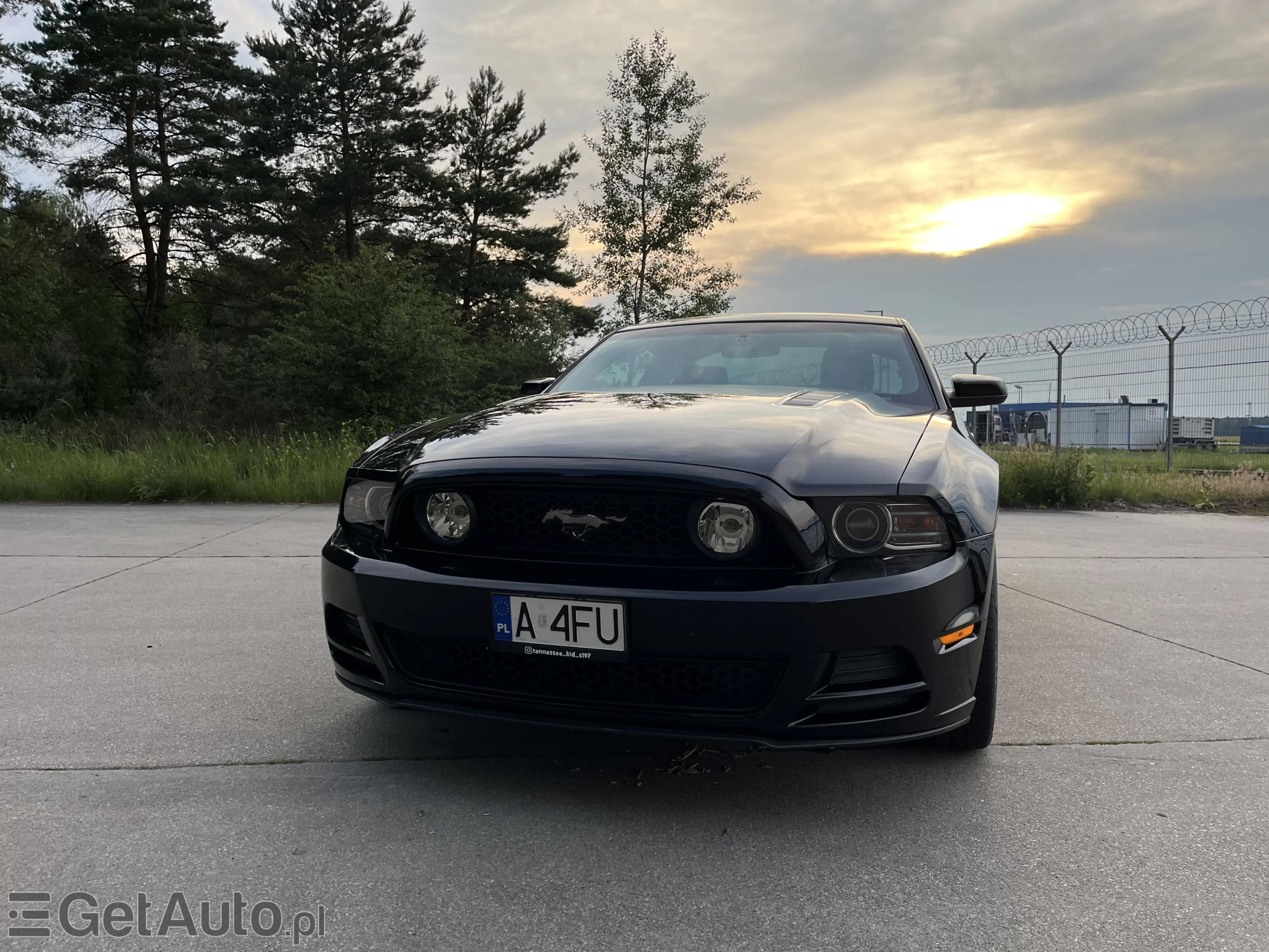 FORD Mustang GT 5.0 Premium