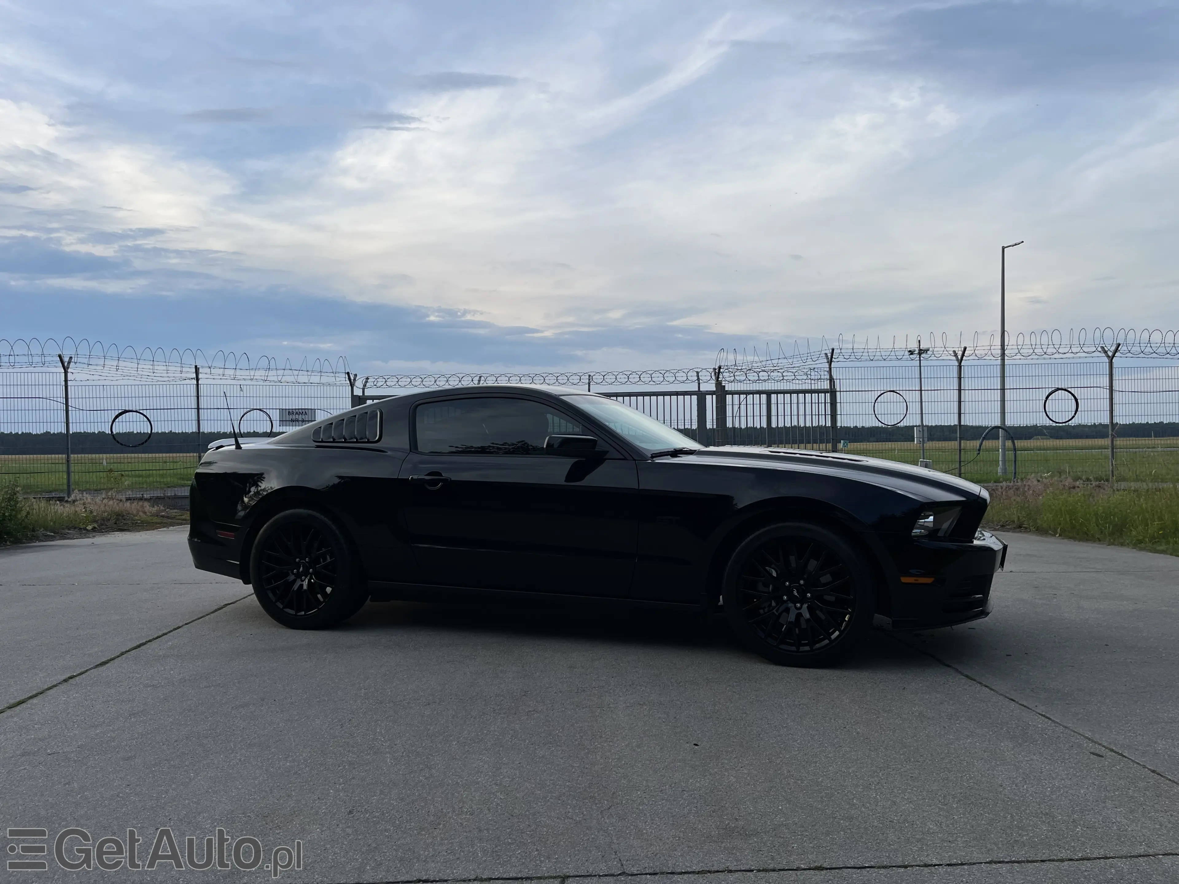 FORD Mustang GT 5.0 Premium