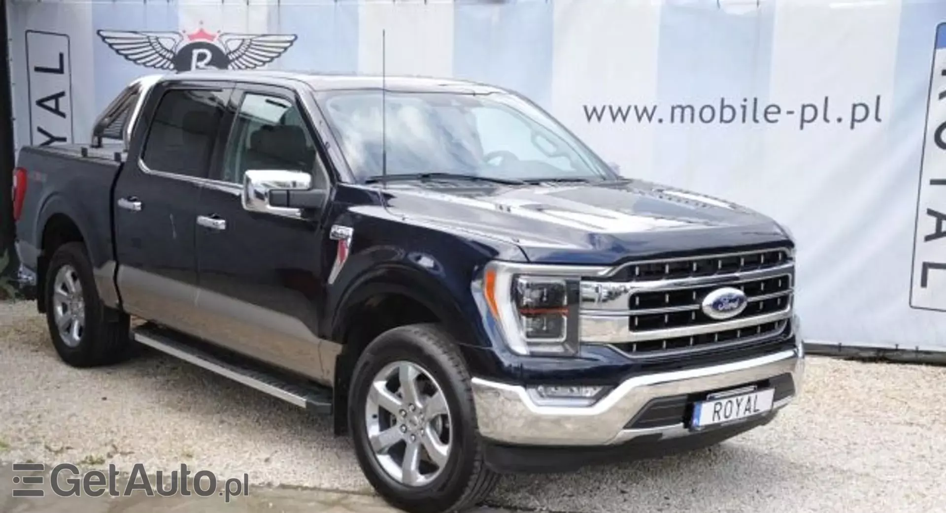 FORD F-Series F-100/F-150 