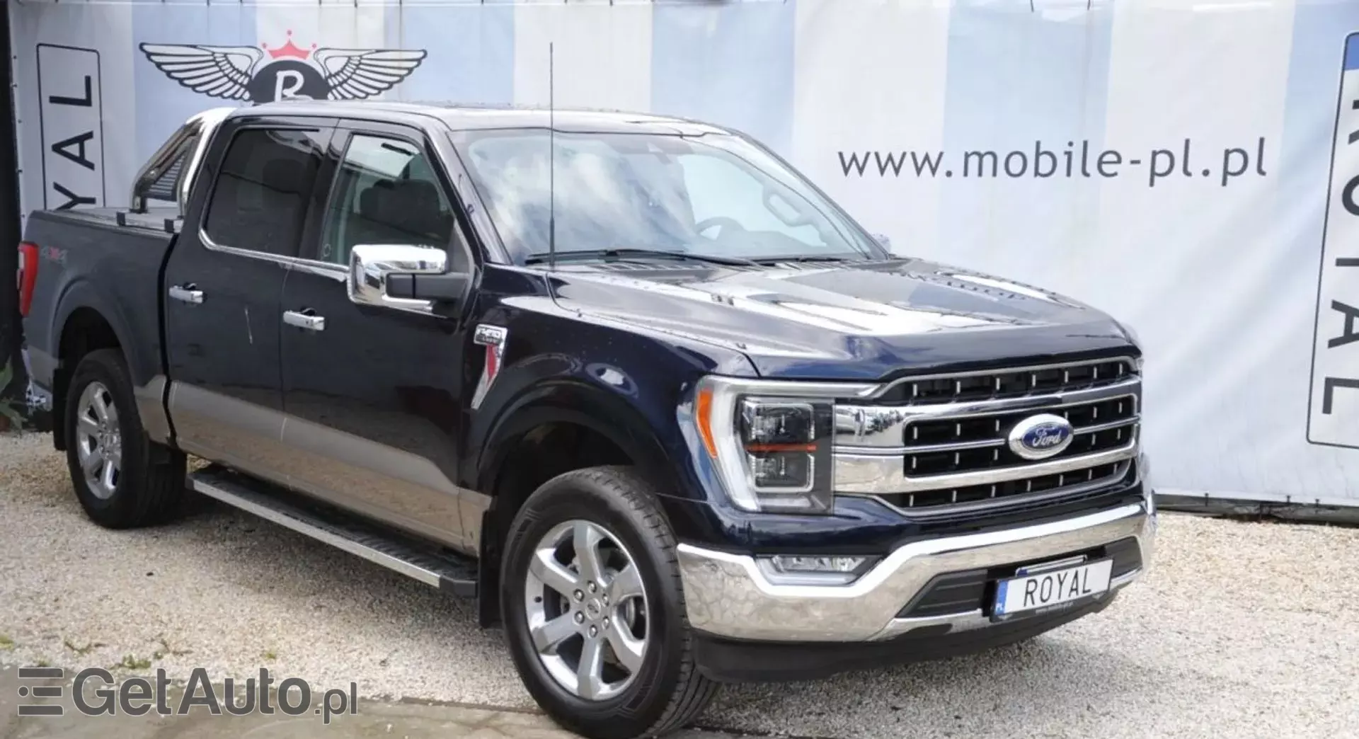 FORD F-Series F-100/F-150 