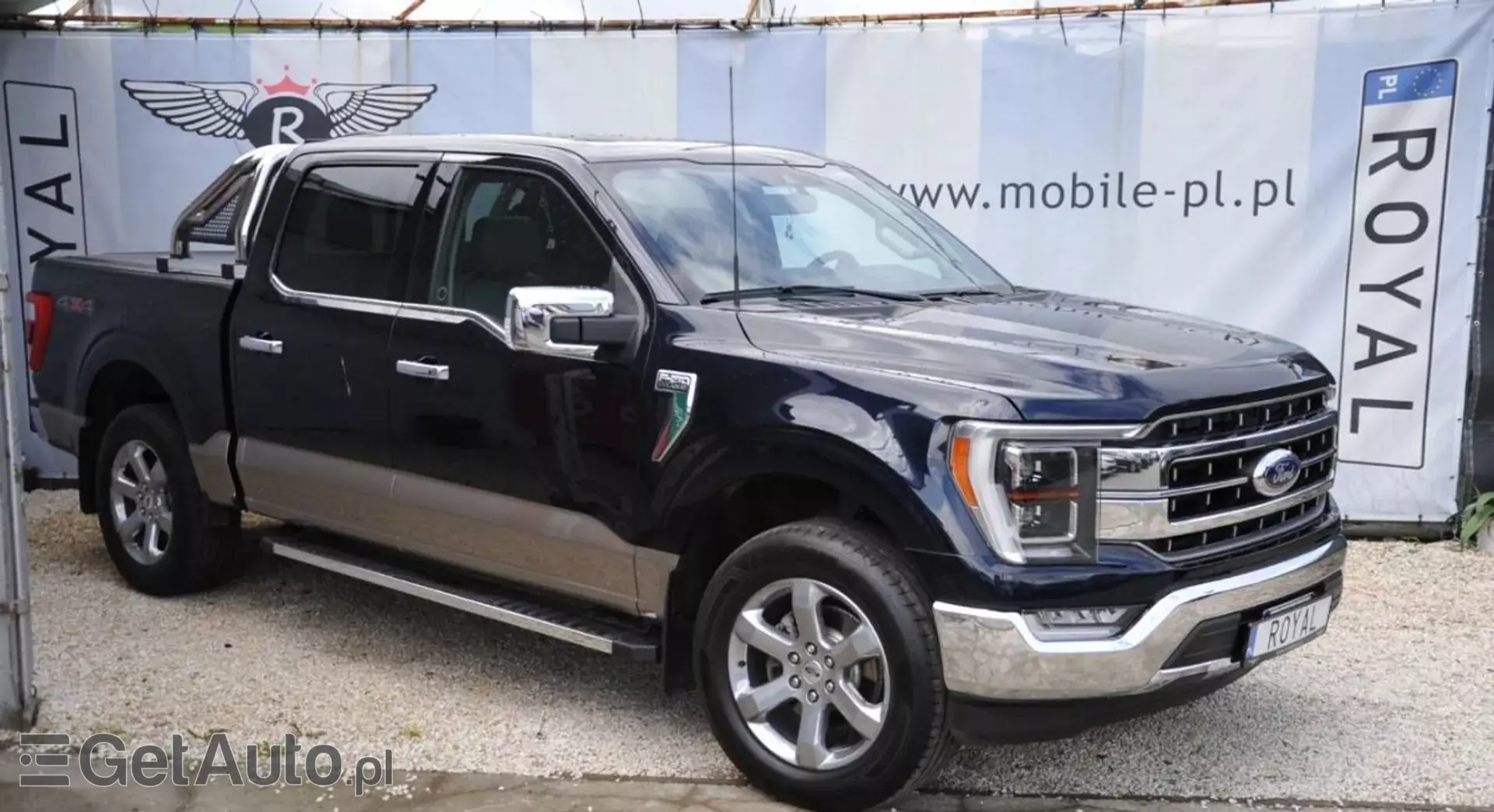 FORD F-Series F-100/F-150 