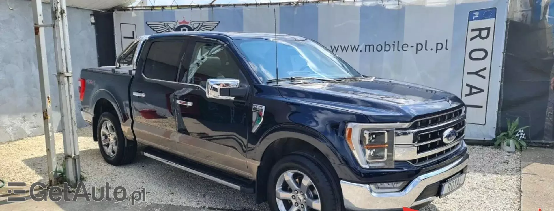 FORD F-Series F-100/F-150 