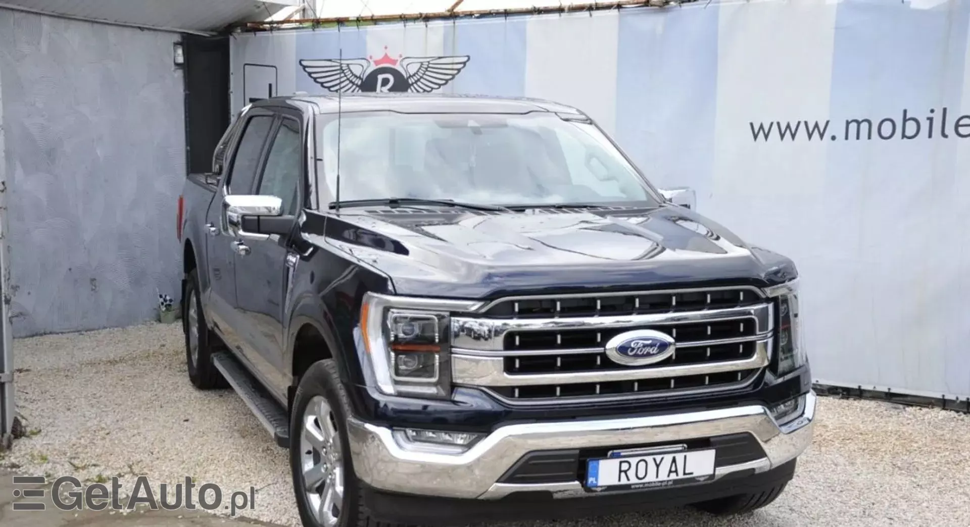 FORD F-Series F-100/F-150 