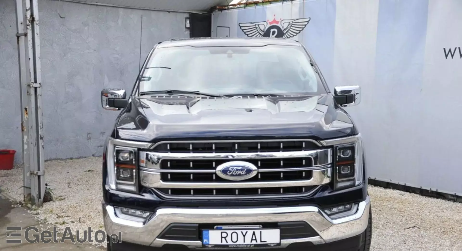 FORD F-Series F-100/F-150 