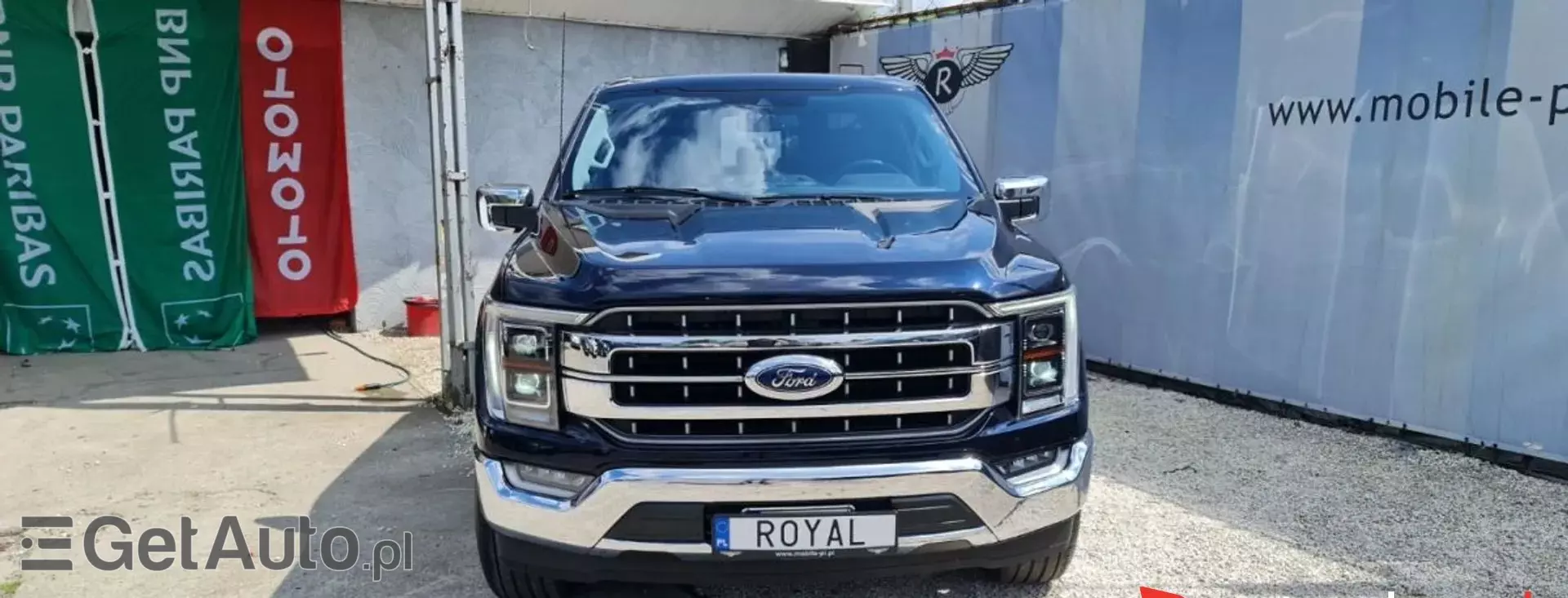 FORD F-Series F-100/F-150 