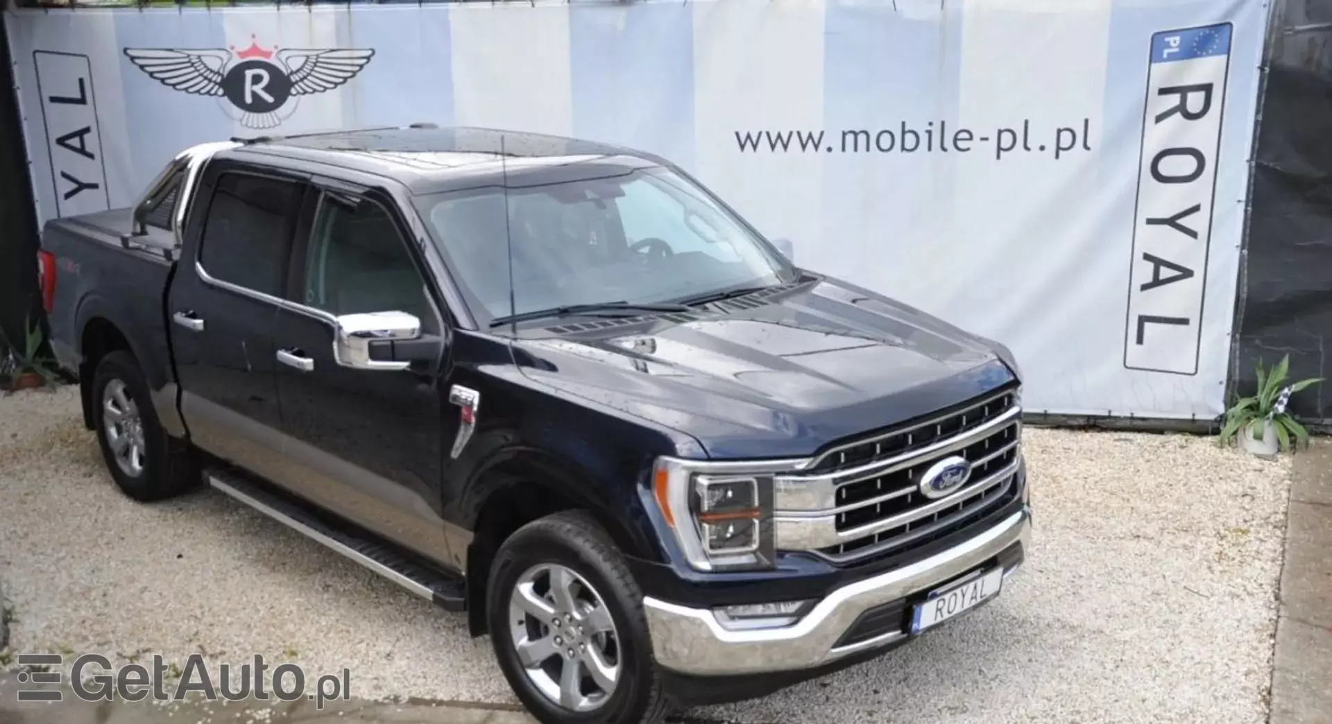 FORD F-Series F-100/F-150 