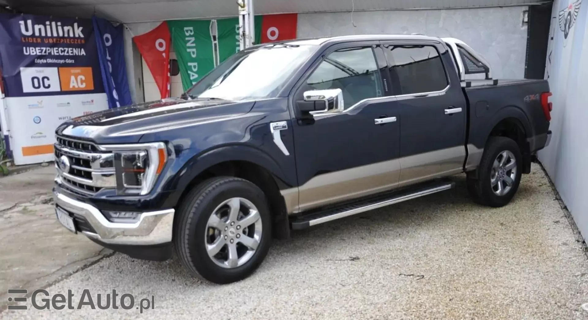 FORD F-Series F-100/F-150 