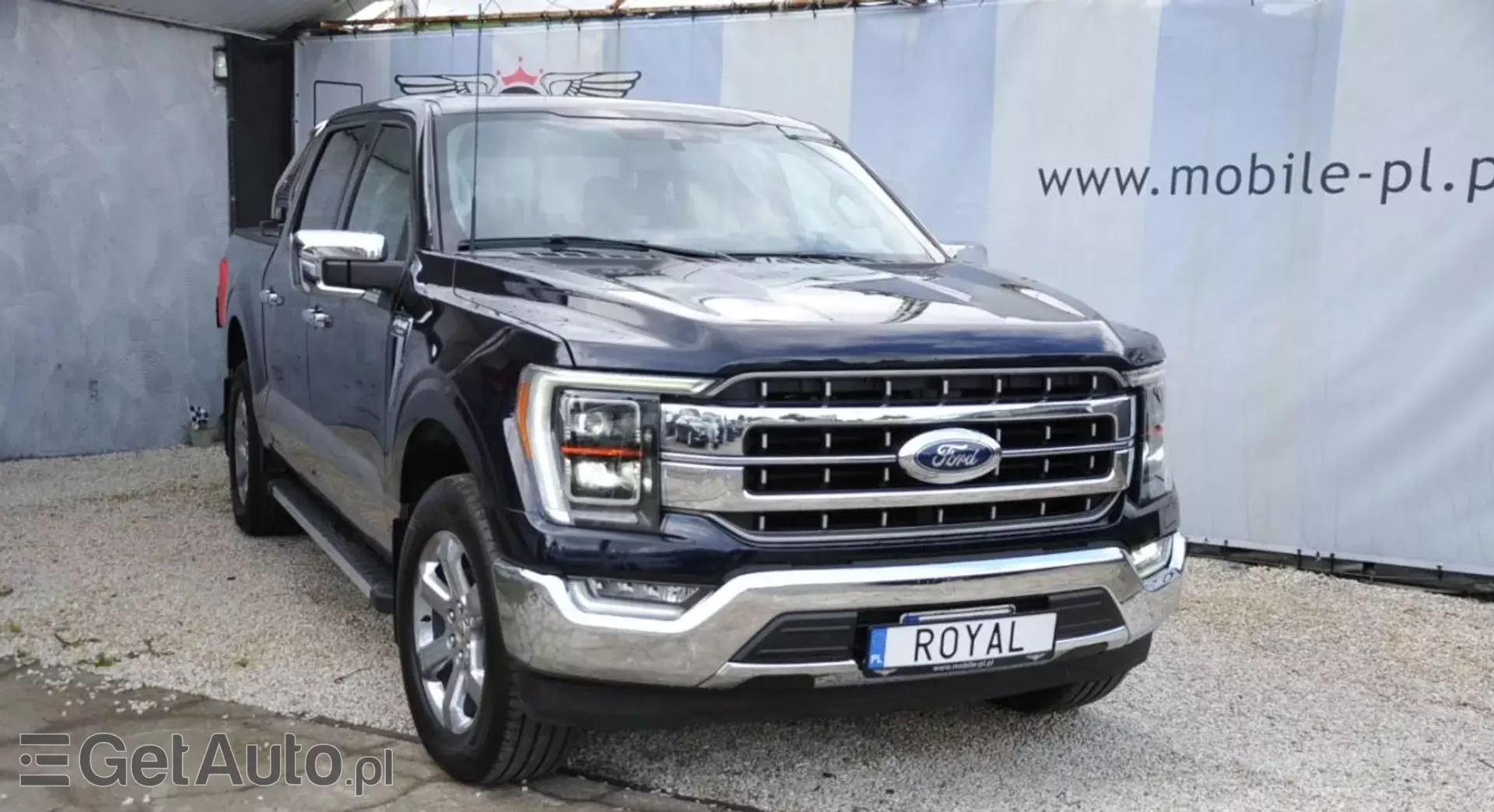 FORD F-Series F-100/F-150 