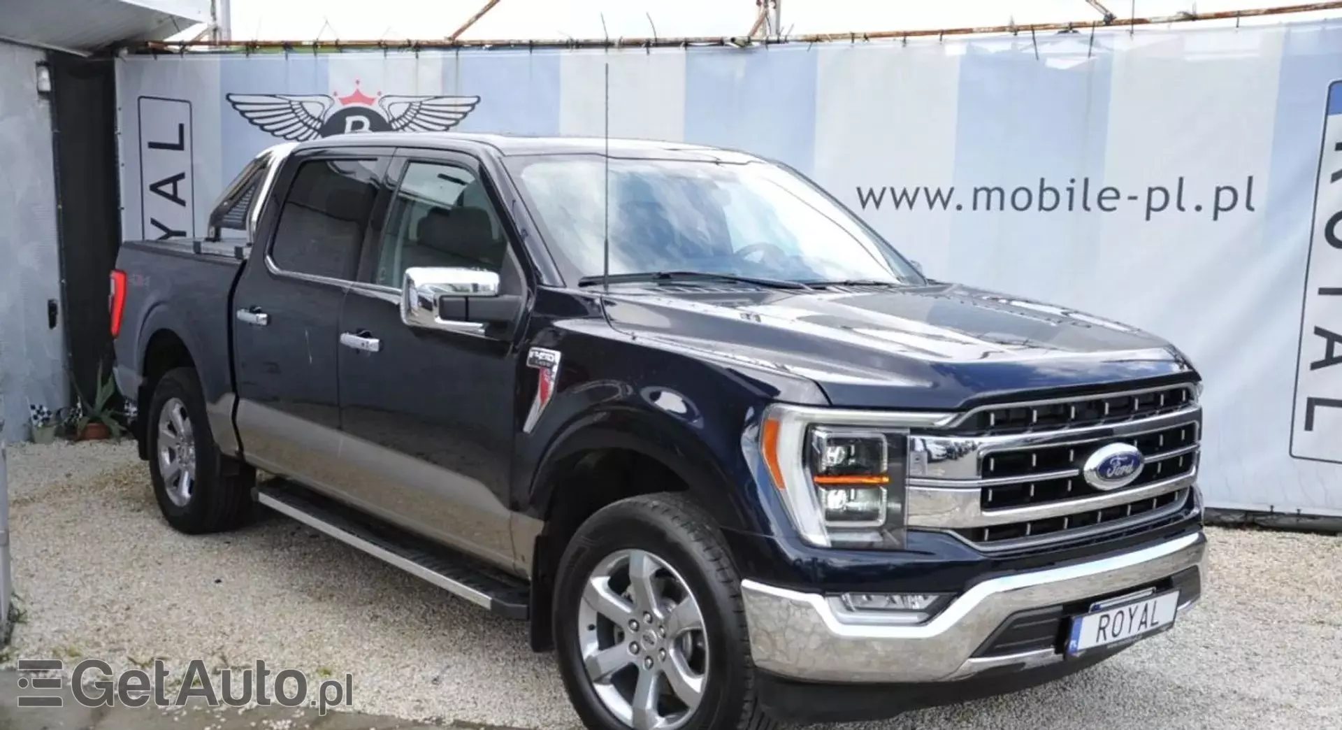 FORD F-Series F-100/F-150 