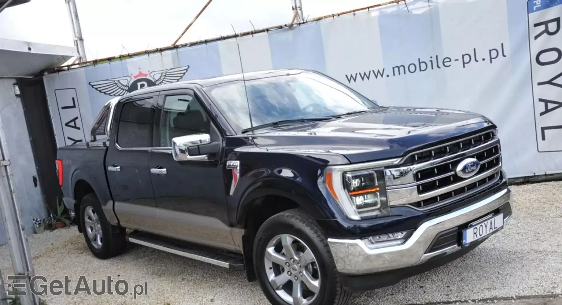 FORD F-Series F-100/F-150 