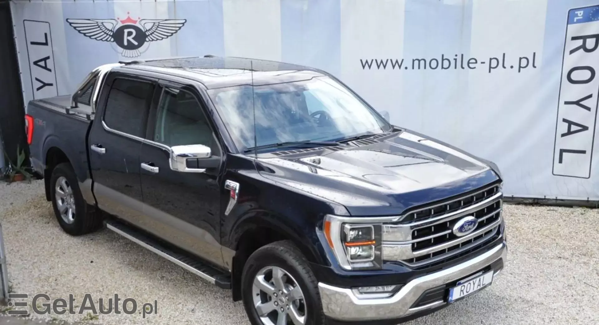 FORD F-Series F-100/F-150 