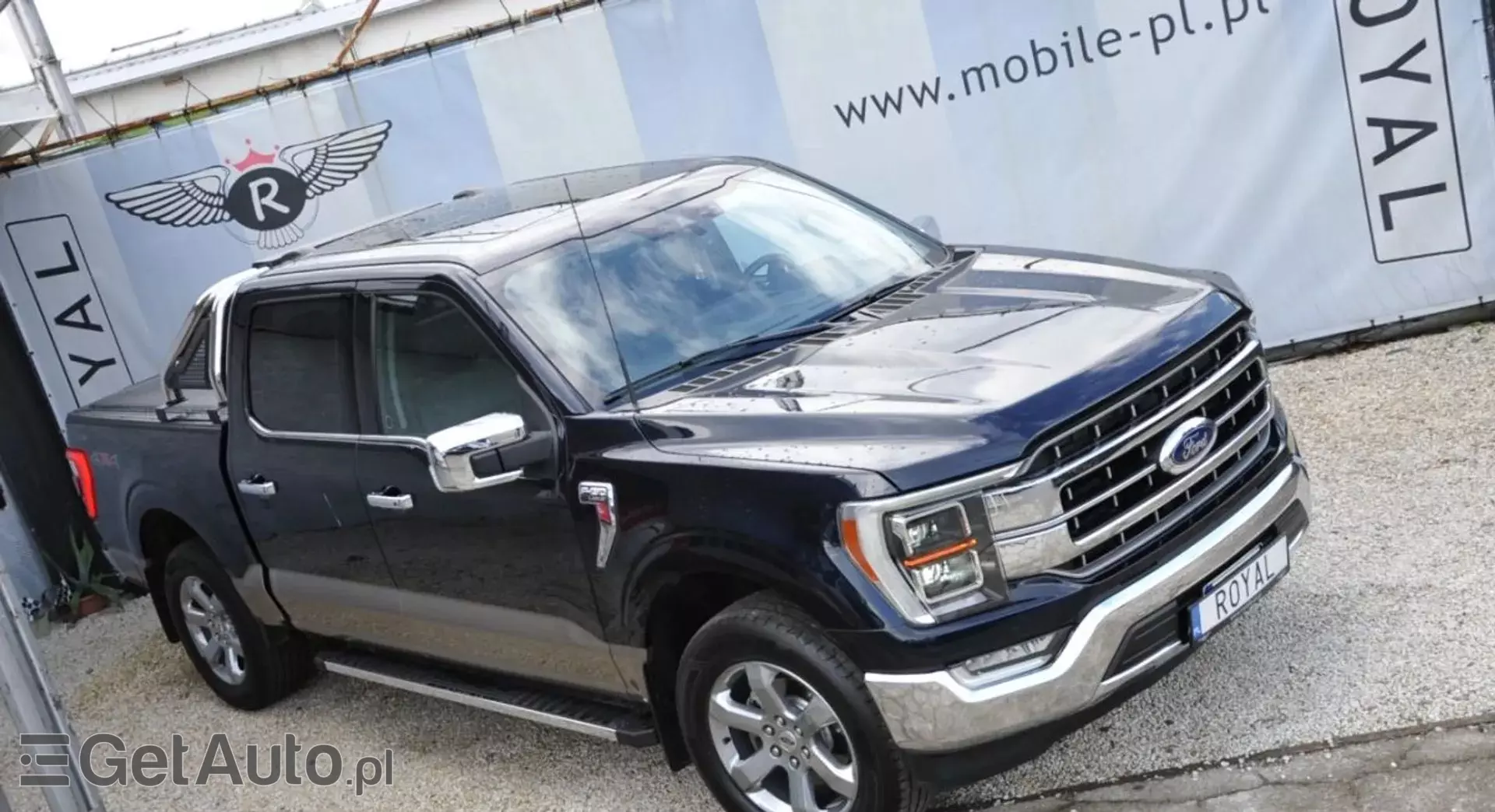 FORD F-Series F-100/F-150 