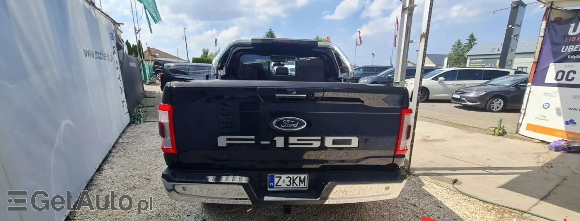 FORD F-Series F-100/F-150 