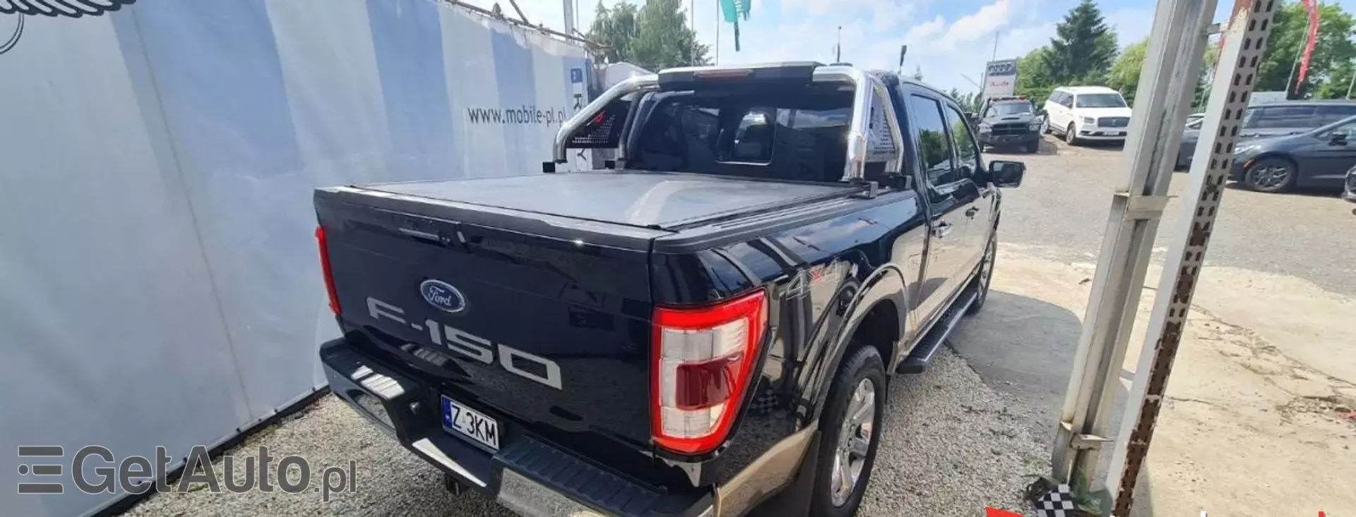 FORD F-Series F-100/F-150 