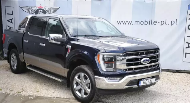 FORD F-Series F-100/F-150 