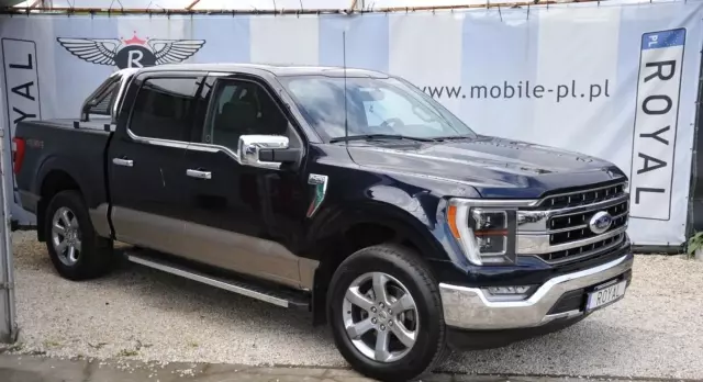 FORD F-Series F-100/F-150 