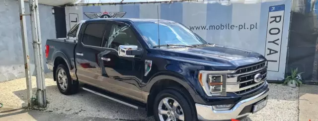 FORD F-Series F-100/F-150 