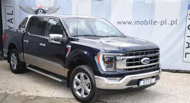 FORD F-Series F-100/F-150 