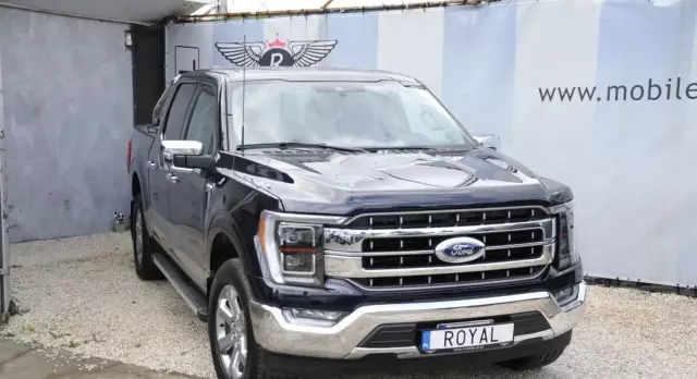 FORD F-Series F-100/F-150 