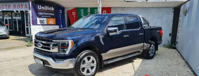 FORD F-Series F-100/F-150 