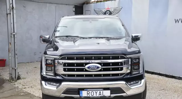 FORD F-Series F-100/F-150 