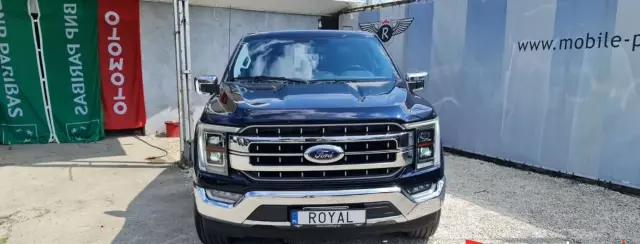 FORD F-Series F-100/F-150 