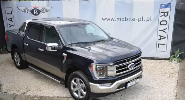 FORD F-Series F-100/F-150 