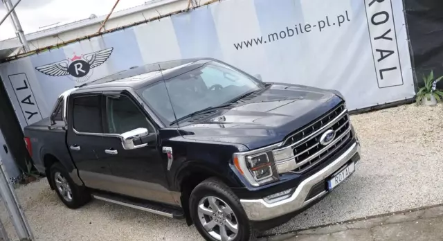 FORD F-Series F-100/F-150 