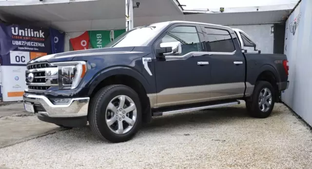 FORD F-Series F-100/F-150 