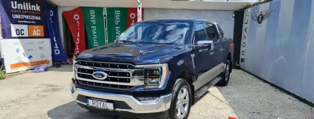 FORD F-Series F-100/F-150 