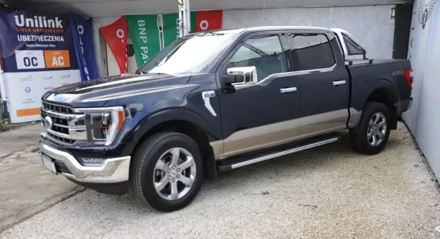 FORD F-Series F-100/F-150 