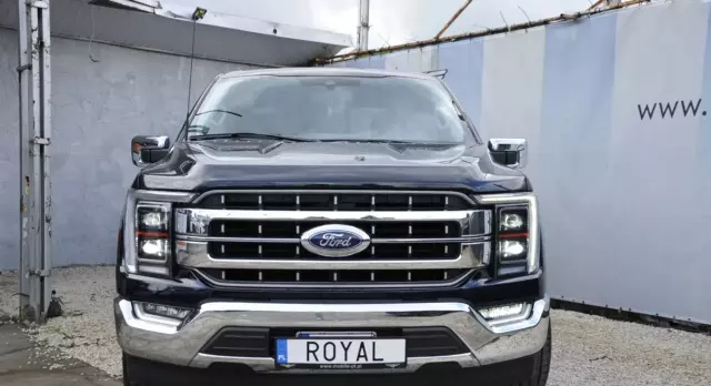 FORD F-Series F-100/F-150 