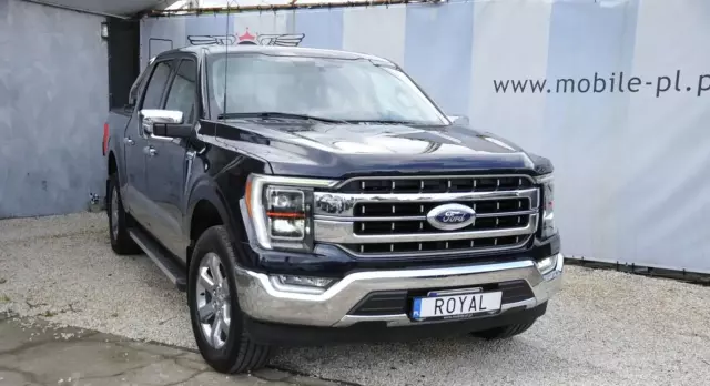 FORD F-Series F-100/F-150 