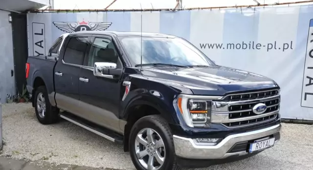 FORD F-Series F-100/F-150 