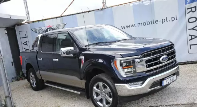 FORD F-Series F-100/F-150 