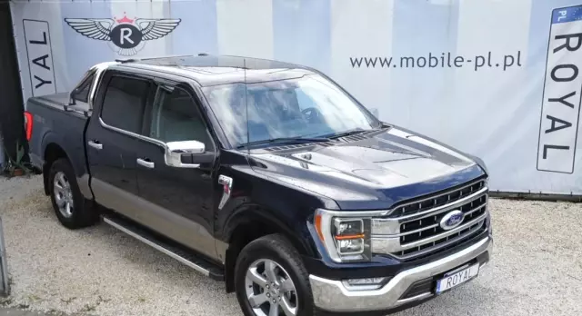 FORD F-Series F-100/F-150 