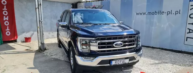 FORD F-Series F-100/F-150 