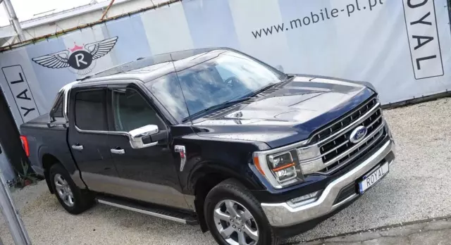 FORD F-Series F-100/F-150 