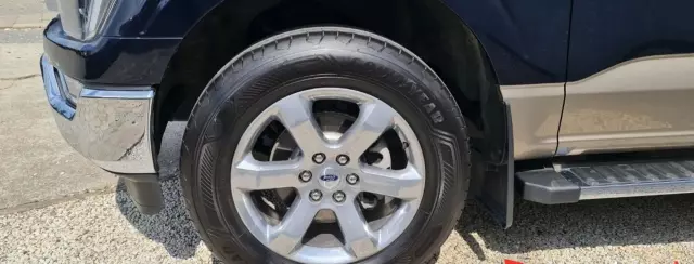 FORD F-Series F-100/F-150 