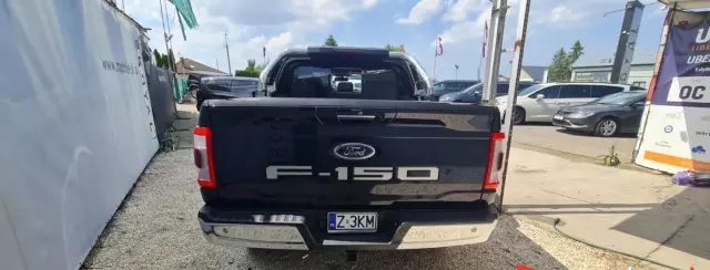 FORD F-Series F-100/F-150 