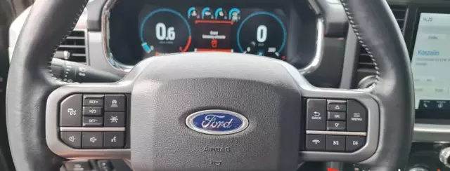 FORD F-Series F-100/F-150 