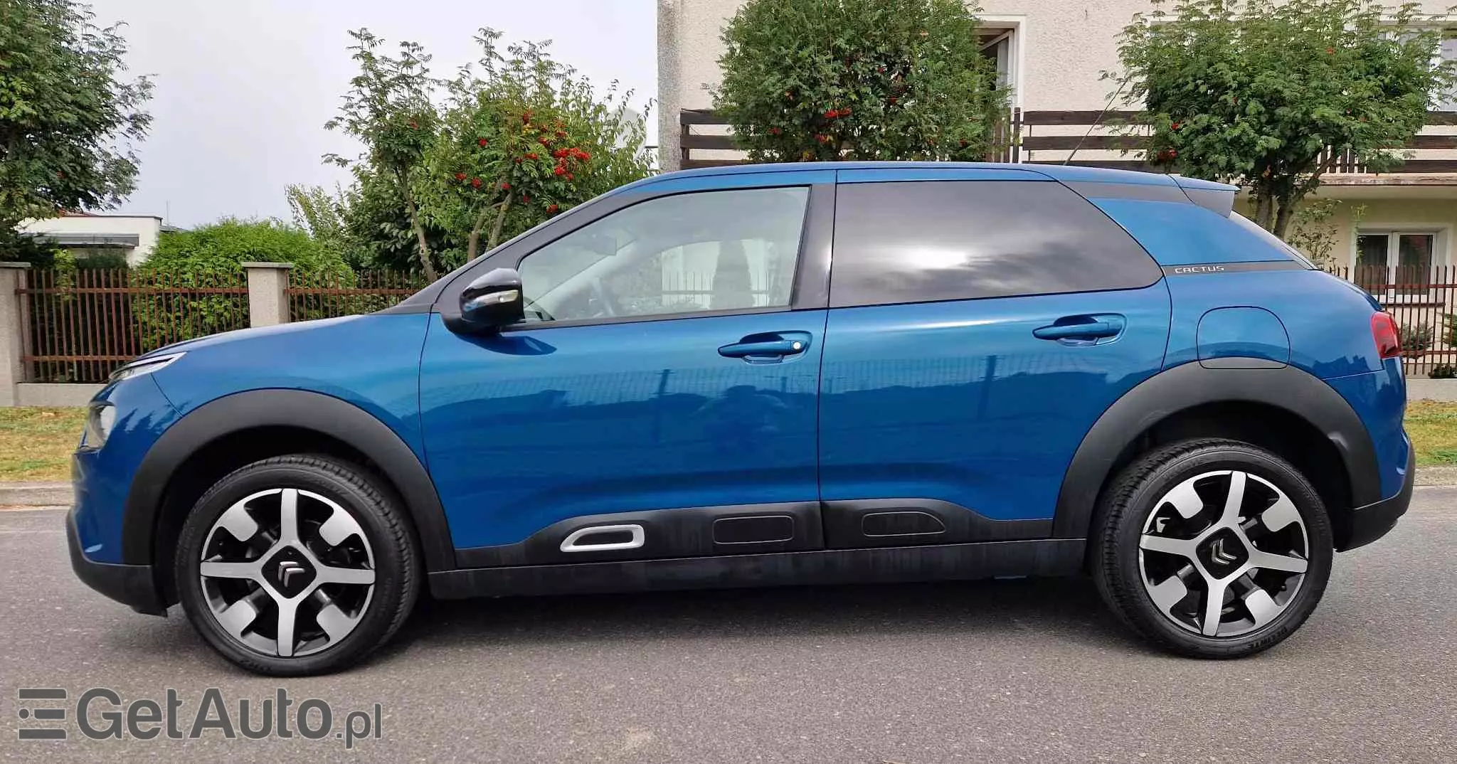 CITROËN C4 Cactus PureTech 110 Stop&Start Shine