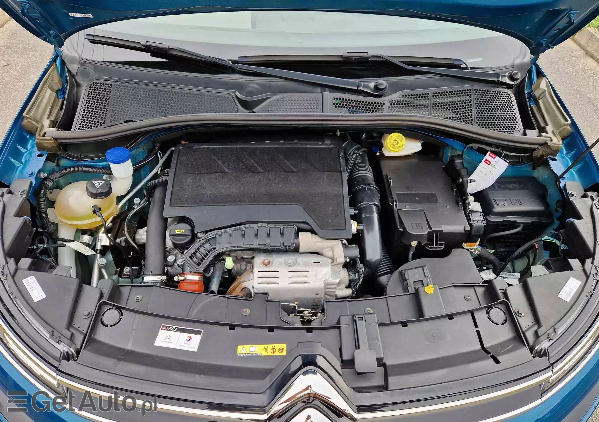 CITROËN C4 Cactus PureTech 110 Stop&Start Shine