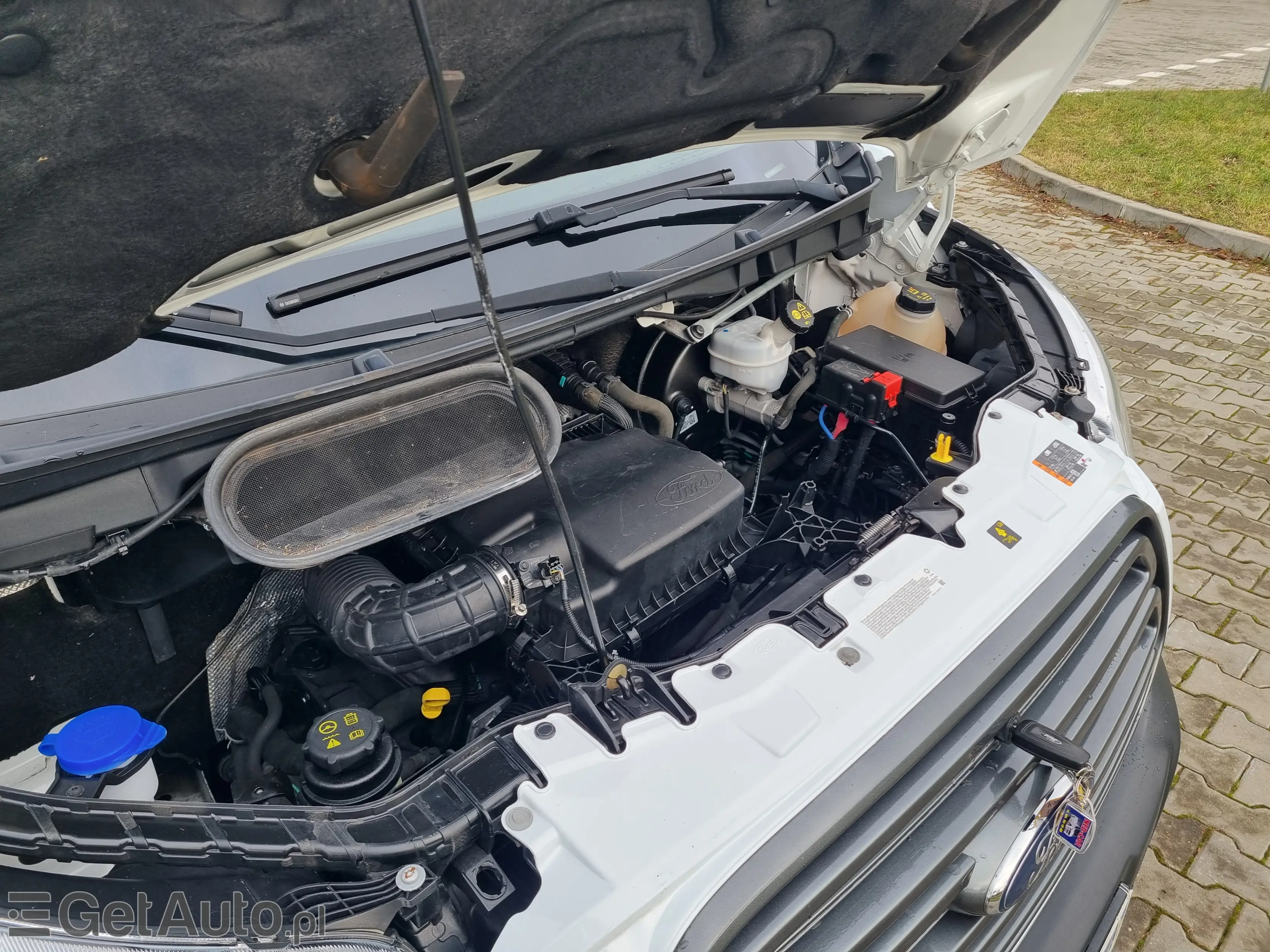 FORD Transit L2 Trend