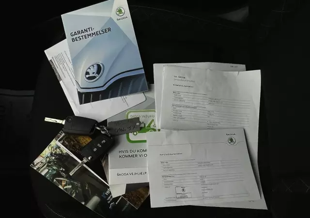 SKODA Karoq 1.6 TDI SCR DSG Ambition