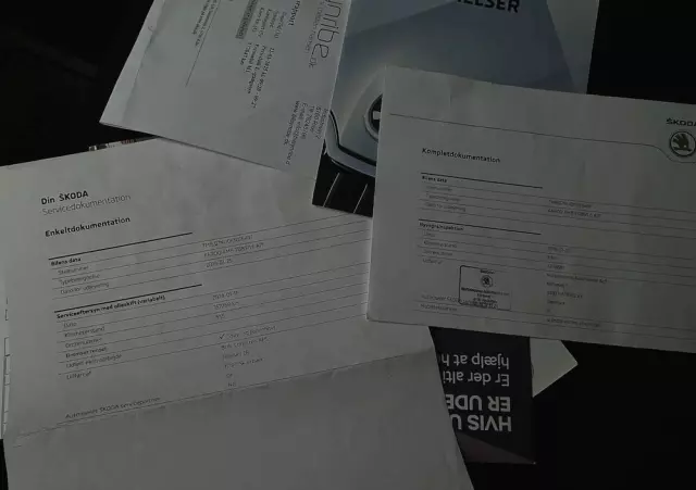 SKODA Karoq 1.6 TDI SCR DSG Ambition