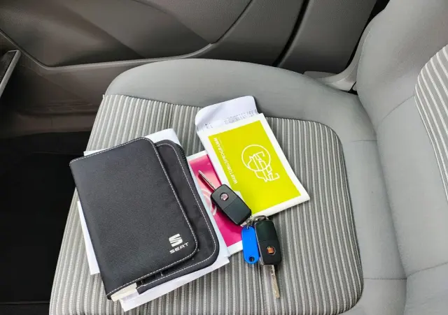 SEAT Alhambra 2.0 TDI (Ecomotive) Start & Stop DSG Reference